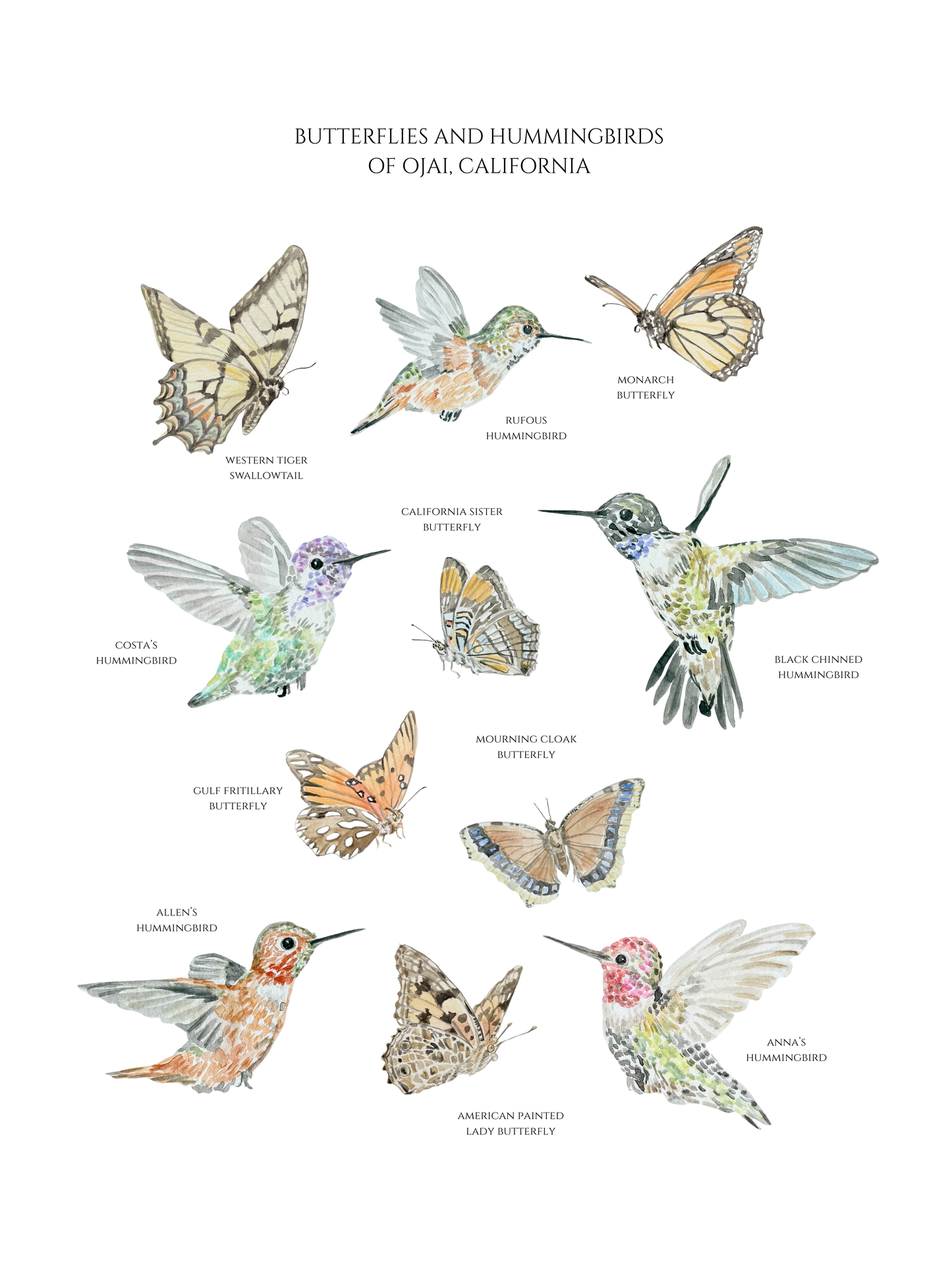 "Wings of Ojai" Watercolor Print (Labeled)