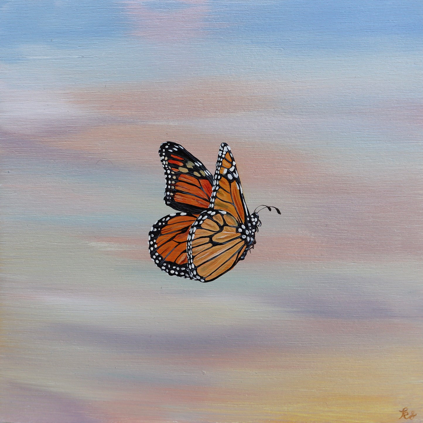 "Left Monarch" Fine Art Print