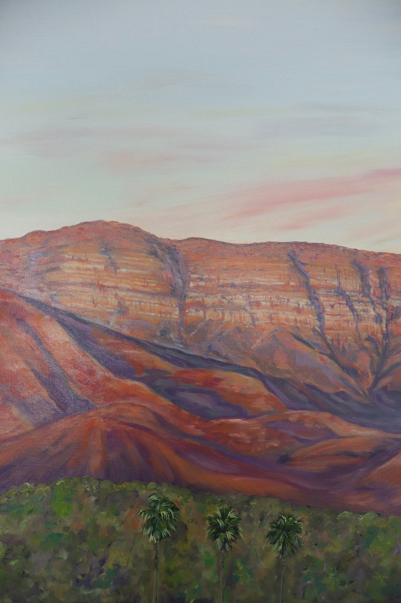 Ojai Pink Moment