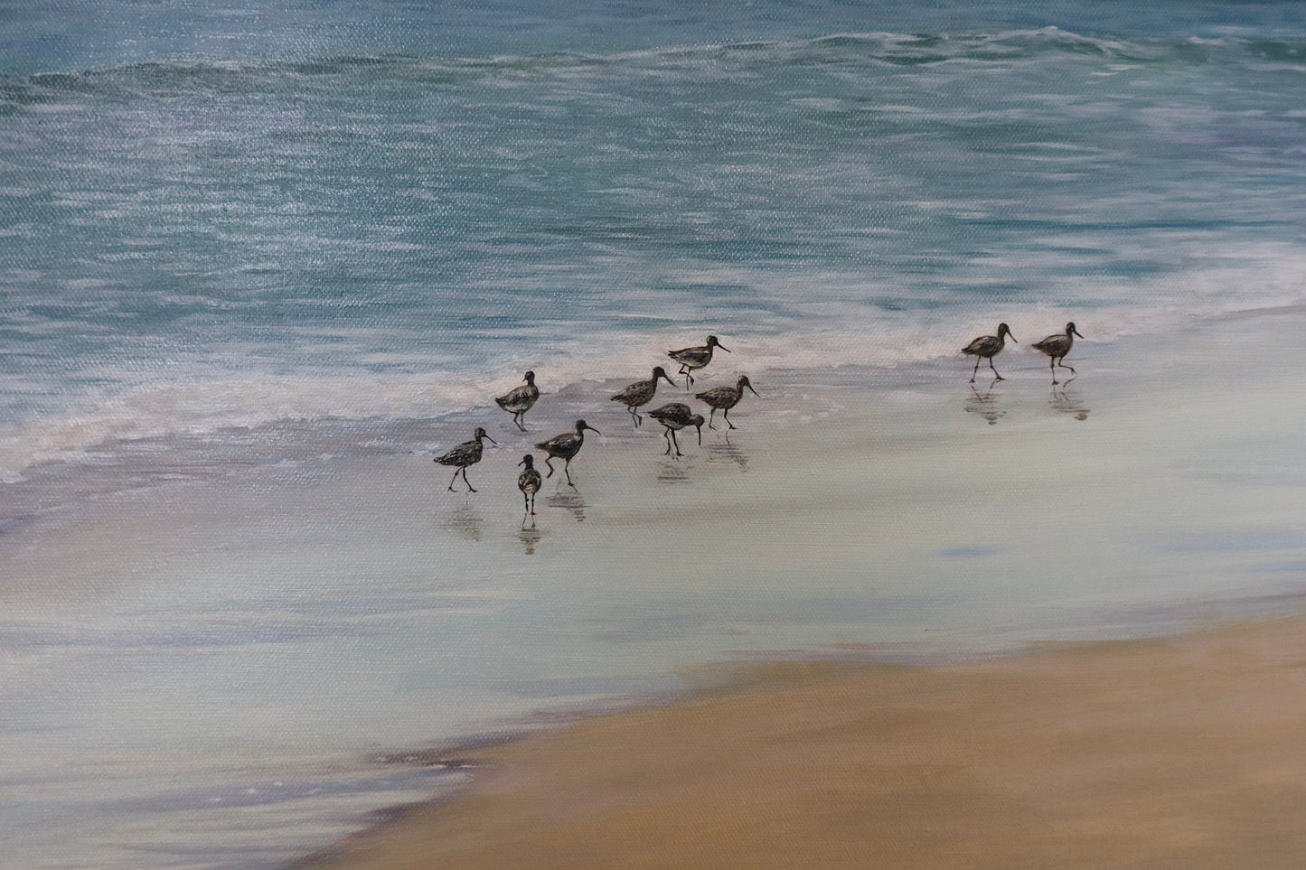 Shorebirds