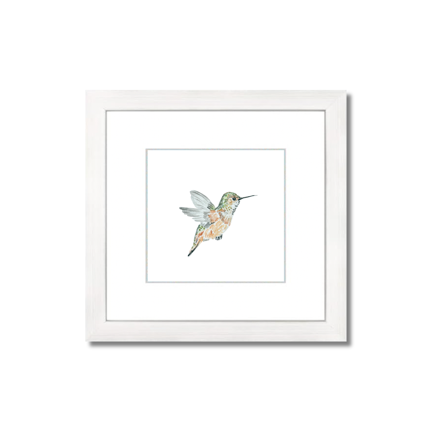 Rufous Hummingbird
