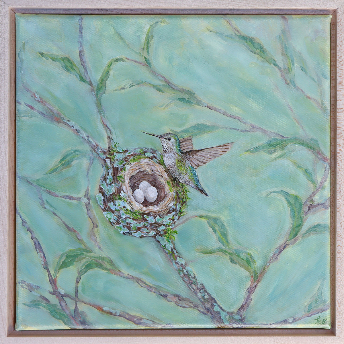 Anna's Hummingbird Nest