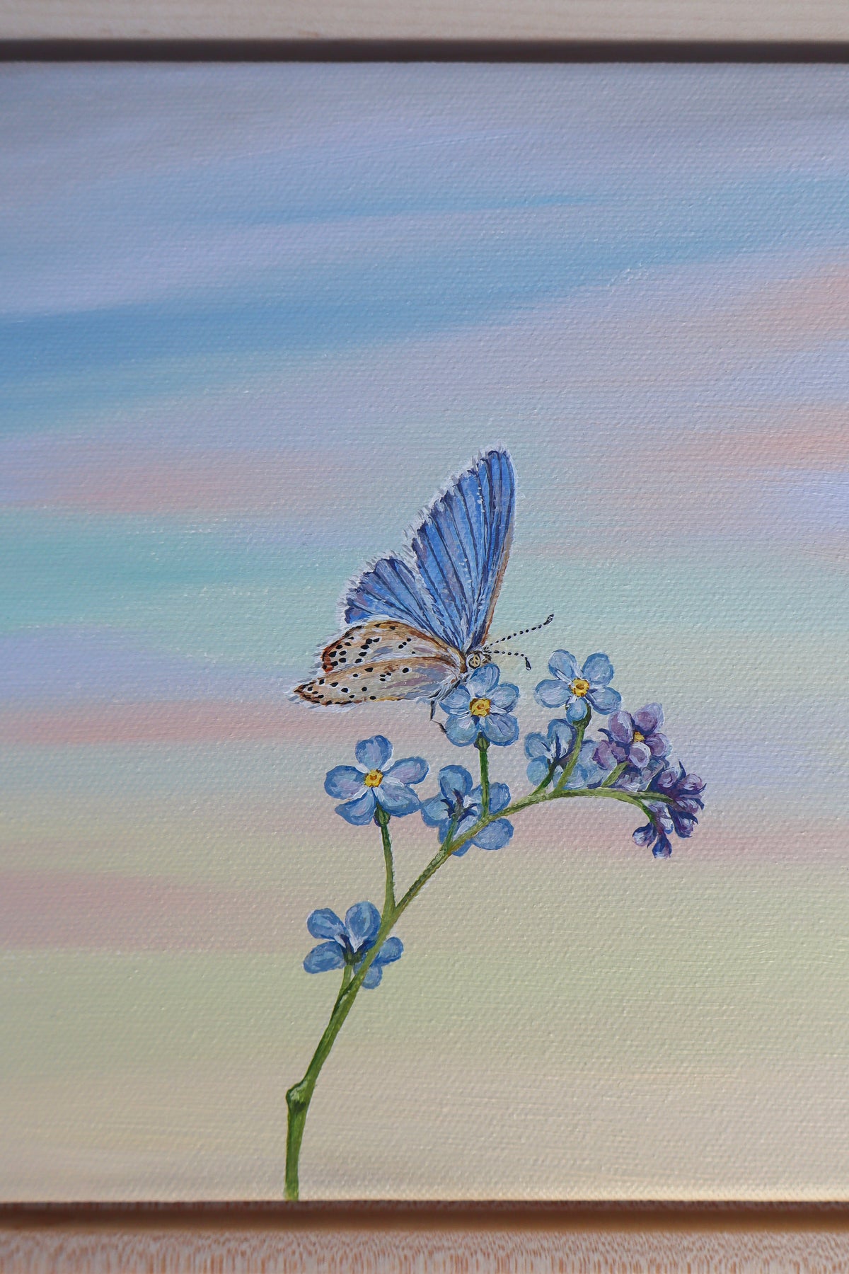 Forget Me Not