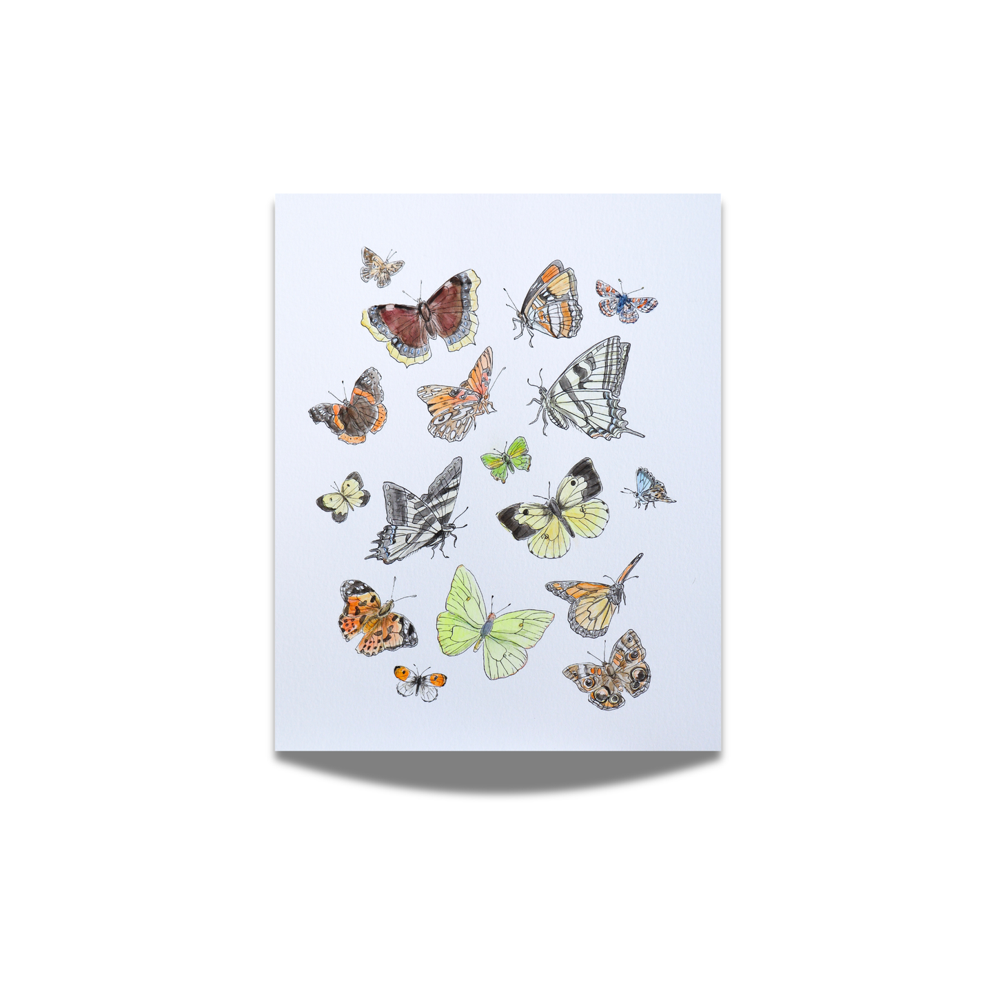 "Butterflies of Ojai" Watercolor Print