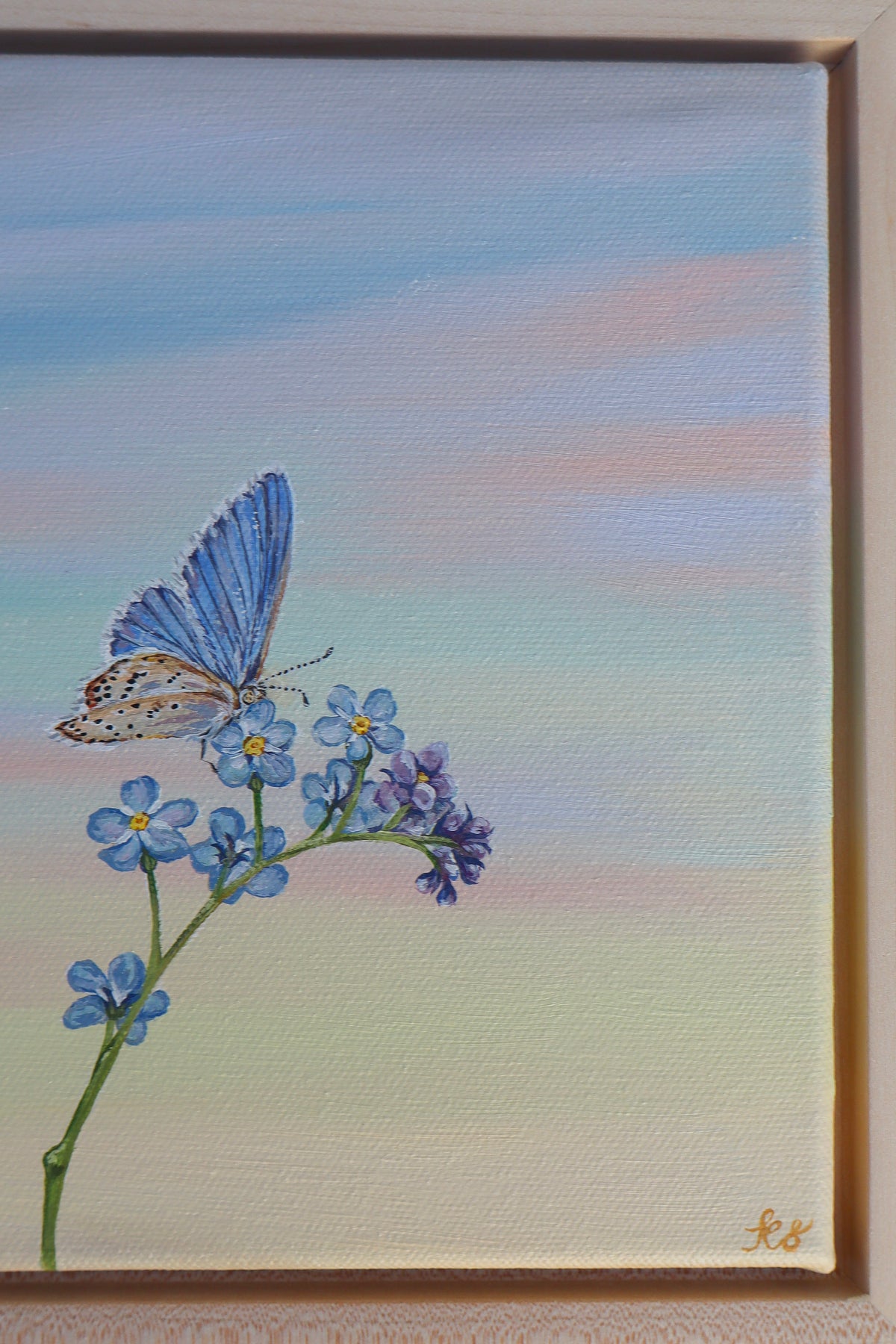 Forget Me Not