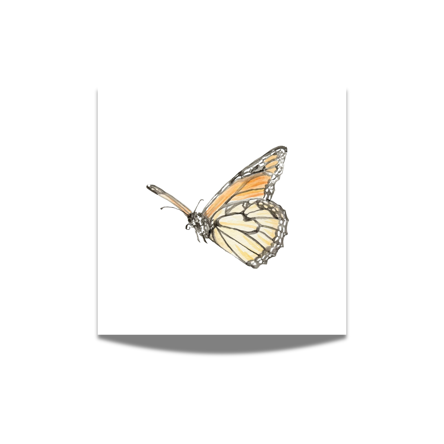 "Monarch" Watercolor Print