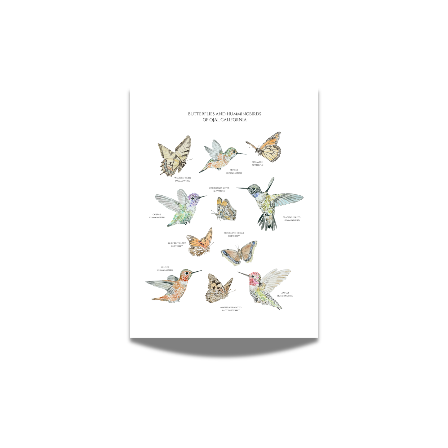 "Wings of Ojai" Watercolor Print (Labeled)