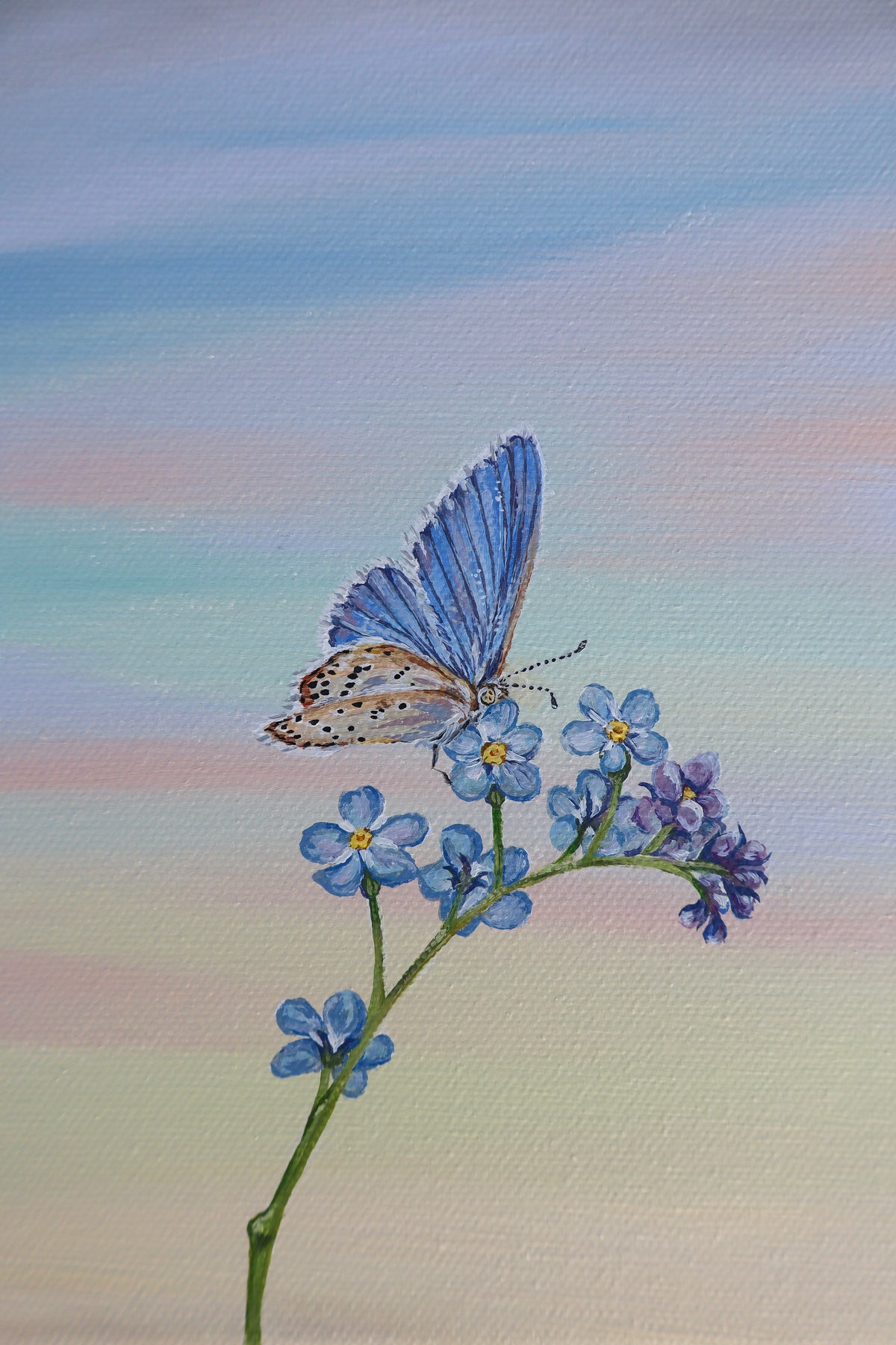 Forget Me Not