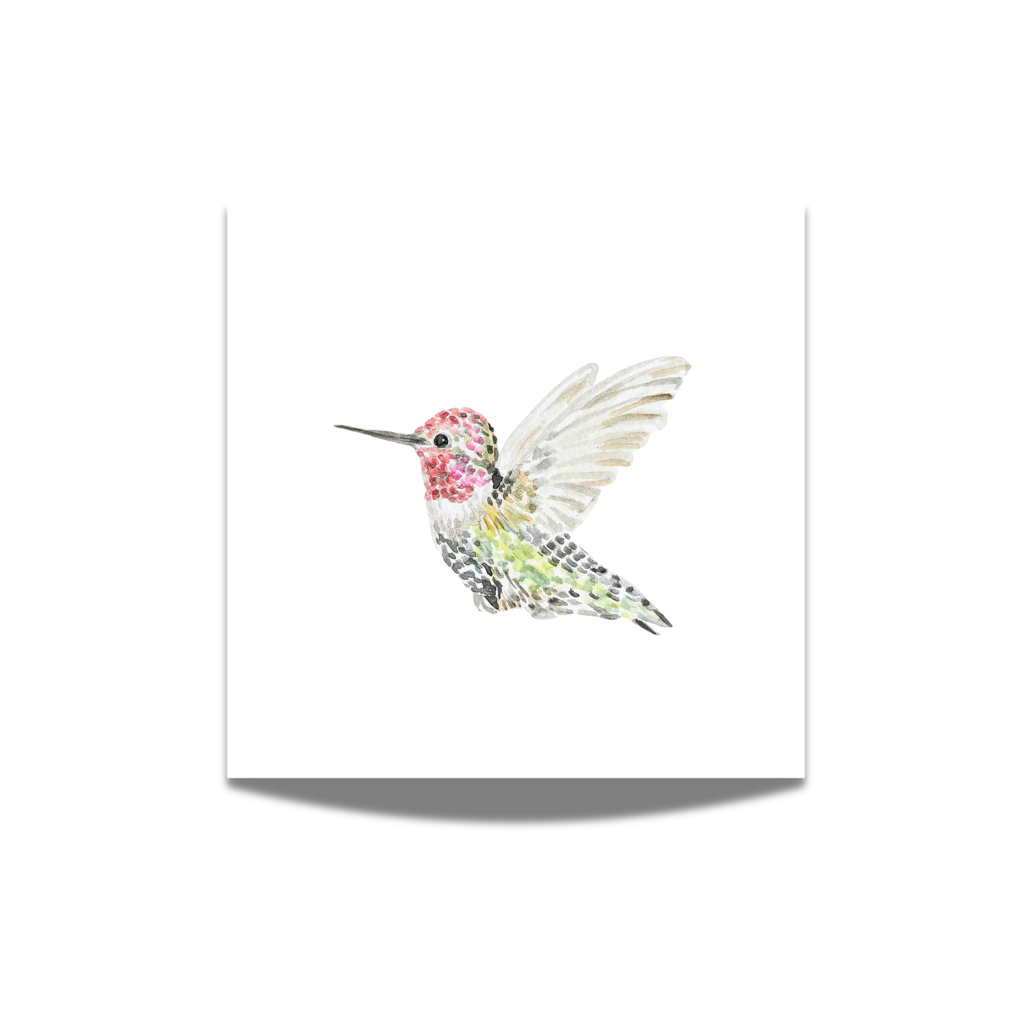 "Anna's Hummingbird" Watercolor Print