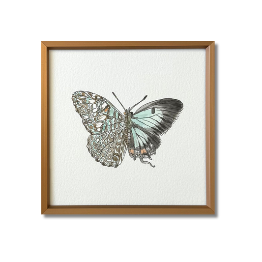 Variable Cracker x Common Imperial