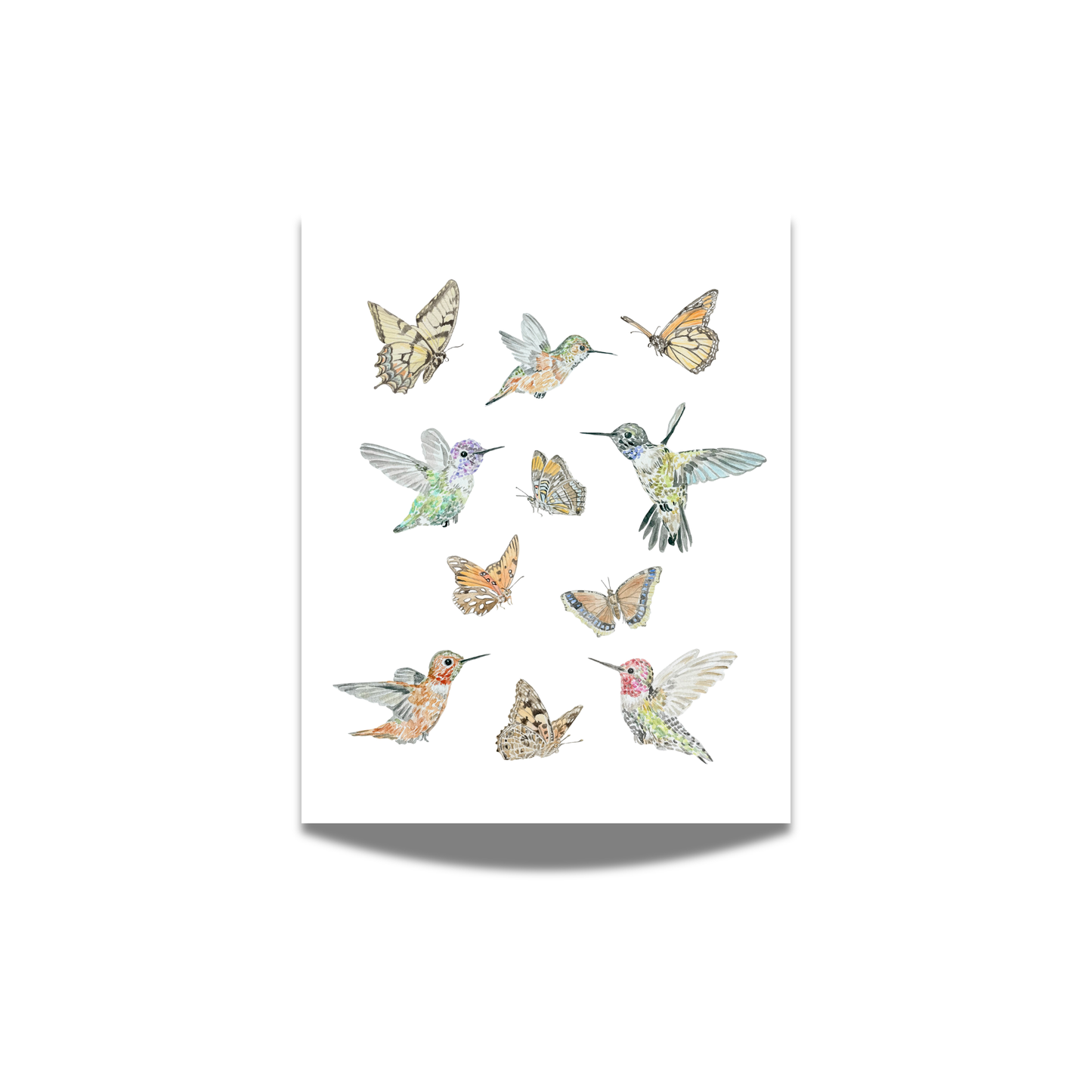 "Wings of Ojai" Watercolor Print