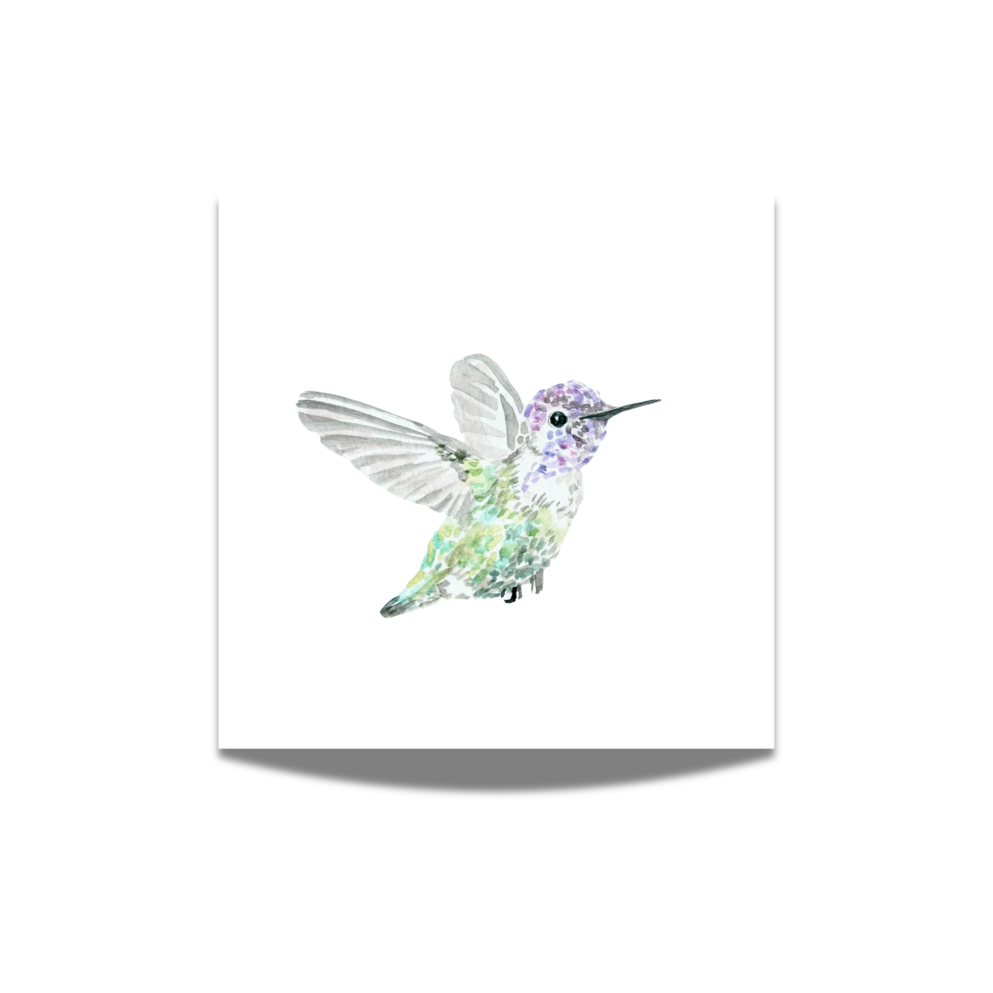 "Costas Hummingbird" Watercolor Print