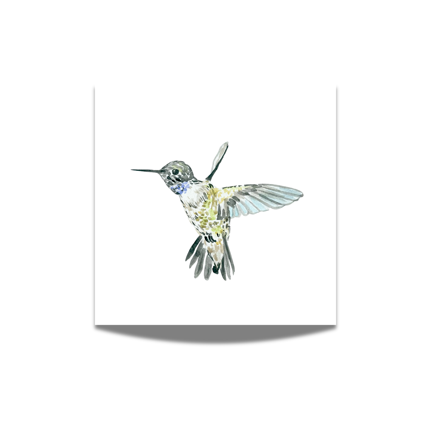 "Black-Chinned Hummingbird" Watercolor Print