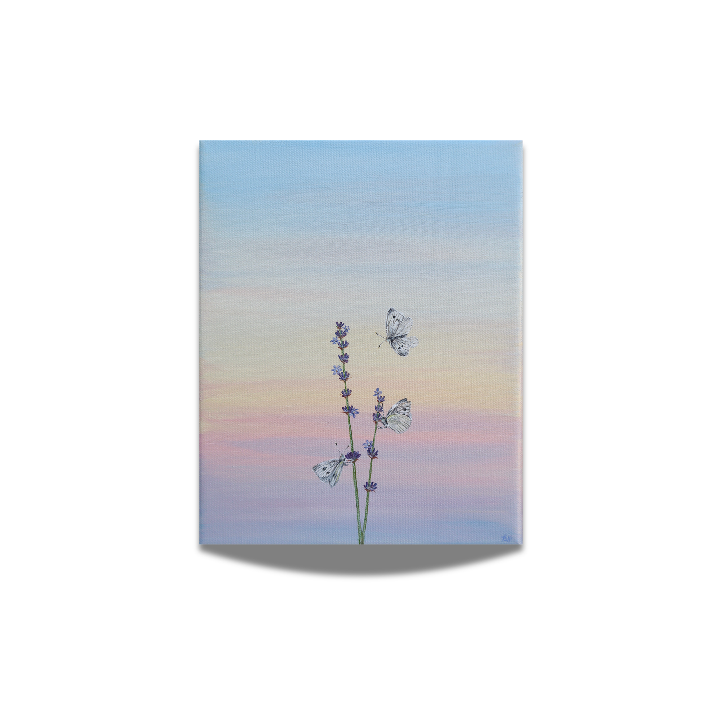 "Cabbage Whites on Lavender" Fine Art Print