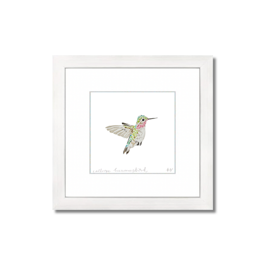 Calliope Hummingbird Watercolor (Framed)