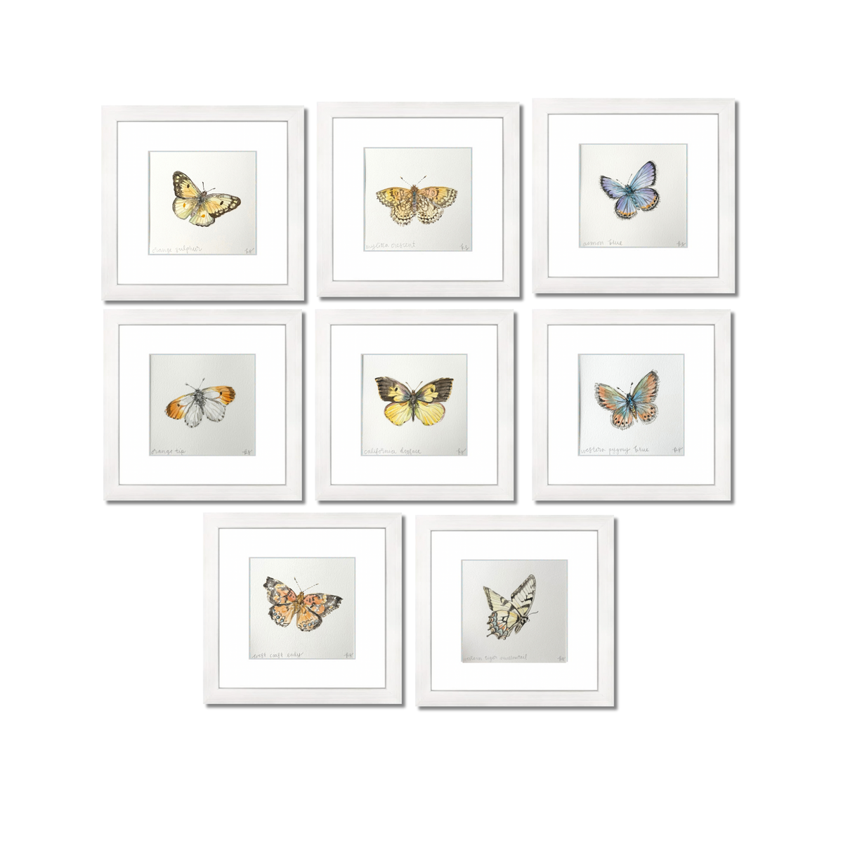 Mylitta Crescent Watercolor (Framed)