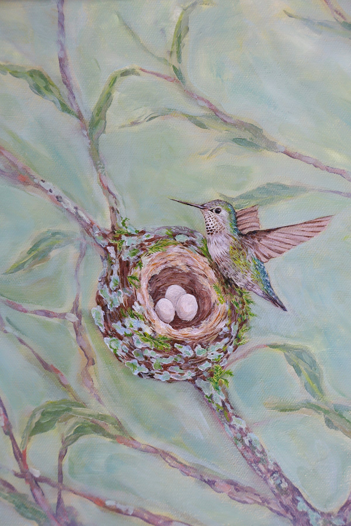 Anna's Hummingbird Nest