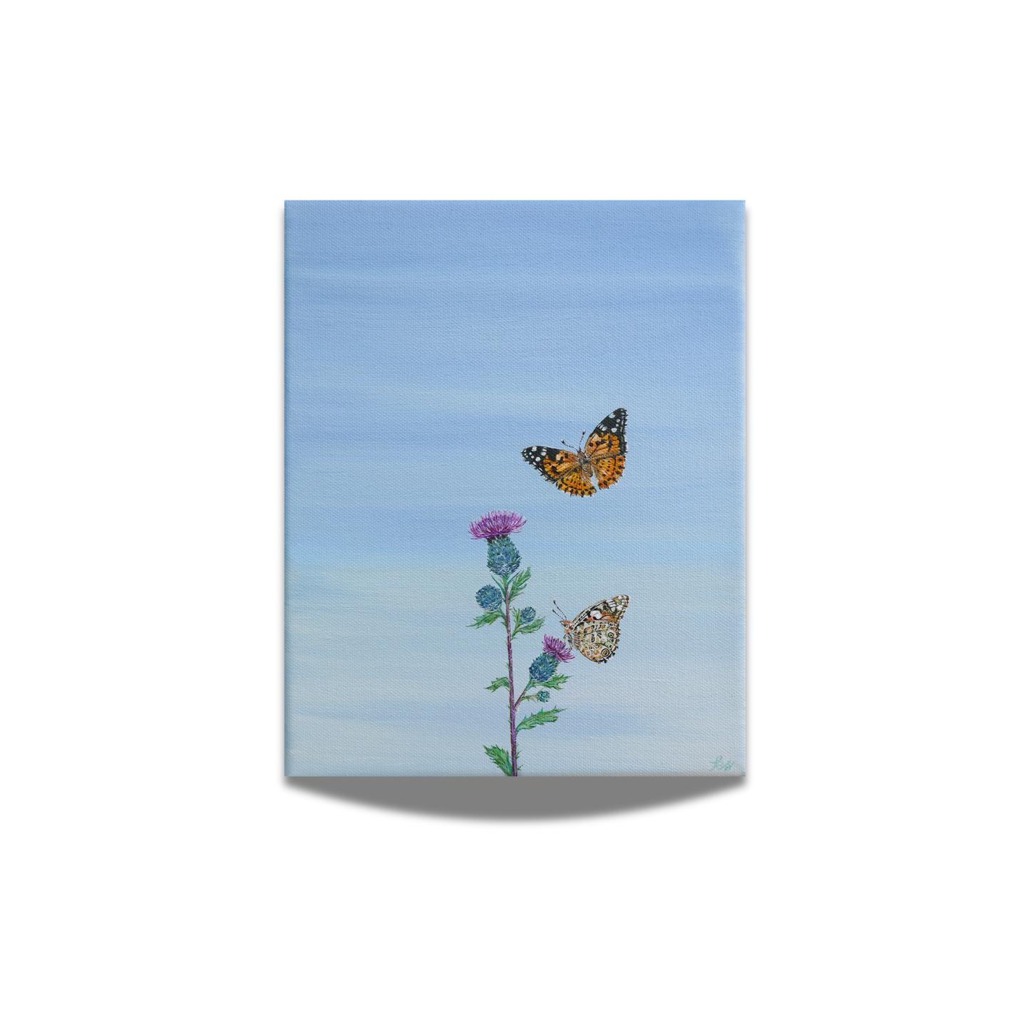 "Painted Ladies on Wild Thistle" Fine Art Print