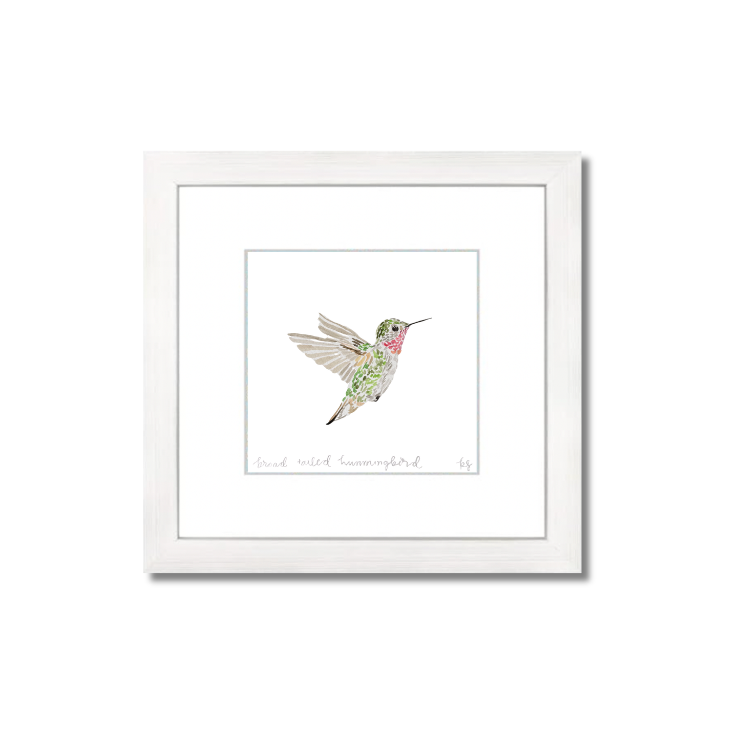 Broad-Tailed Hummingbird Watercolor (Framed)