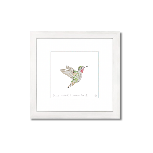 Broad-Tailed Hummingbird Watercolor (Framed)