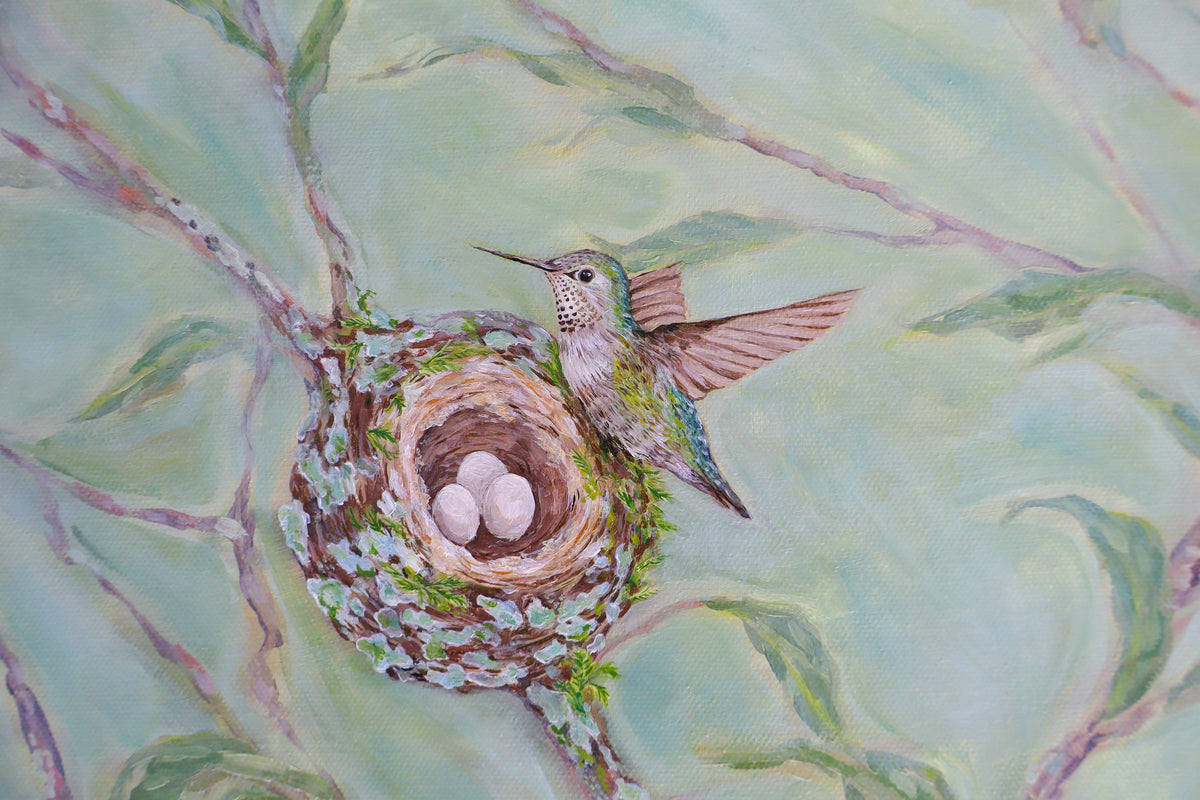 Anna's Hummingbird Nest