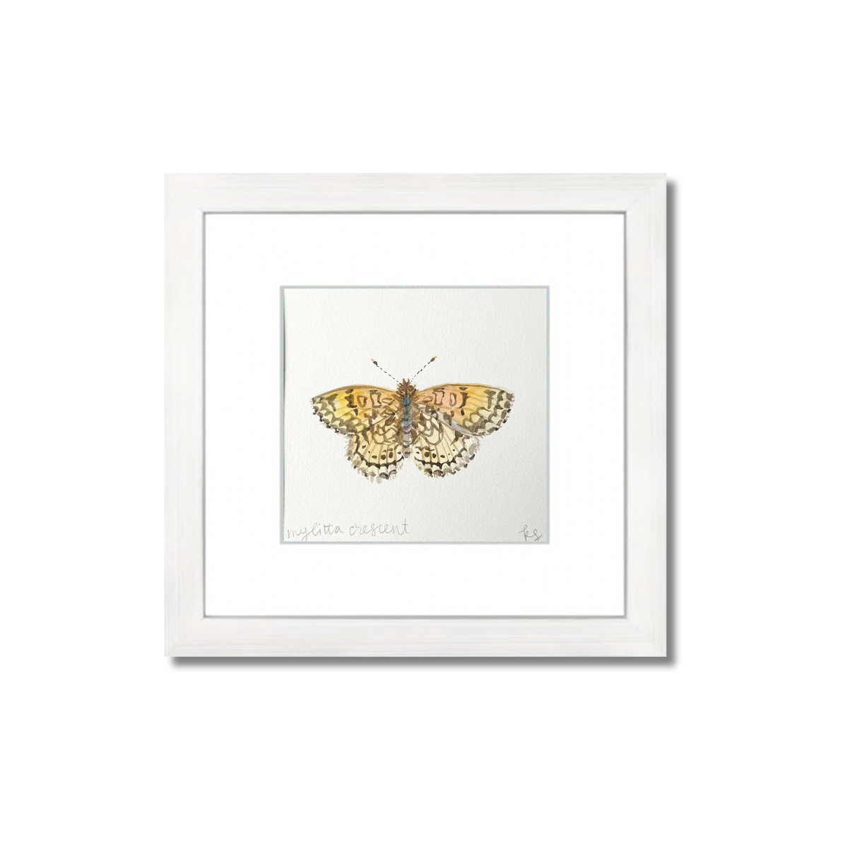 Mylitta Crescent Watercolor (Framed)