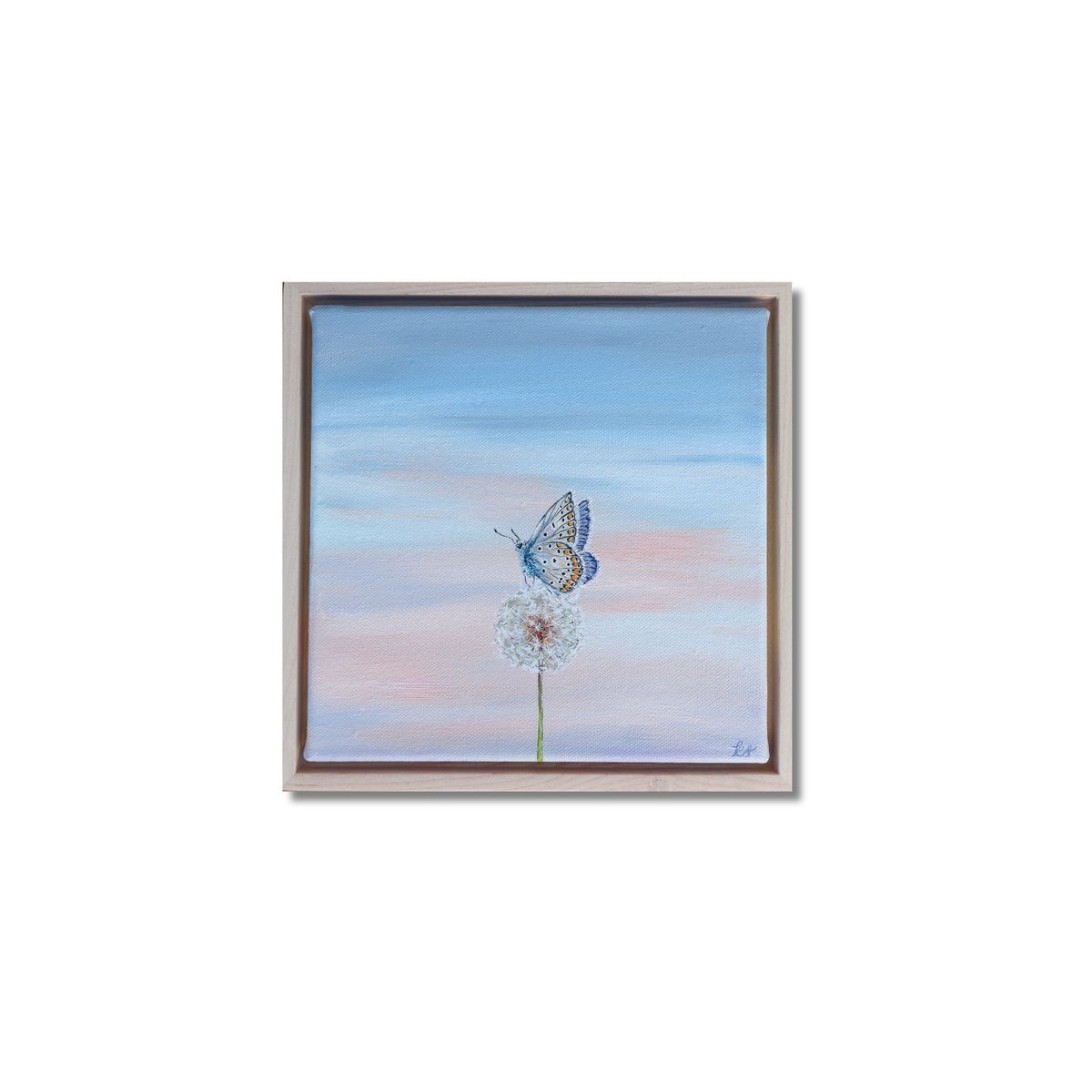 Blue Wish