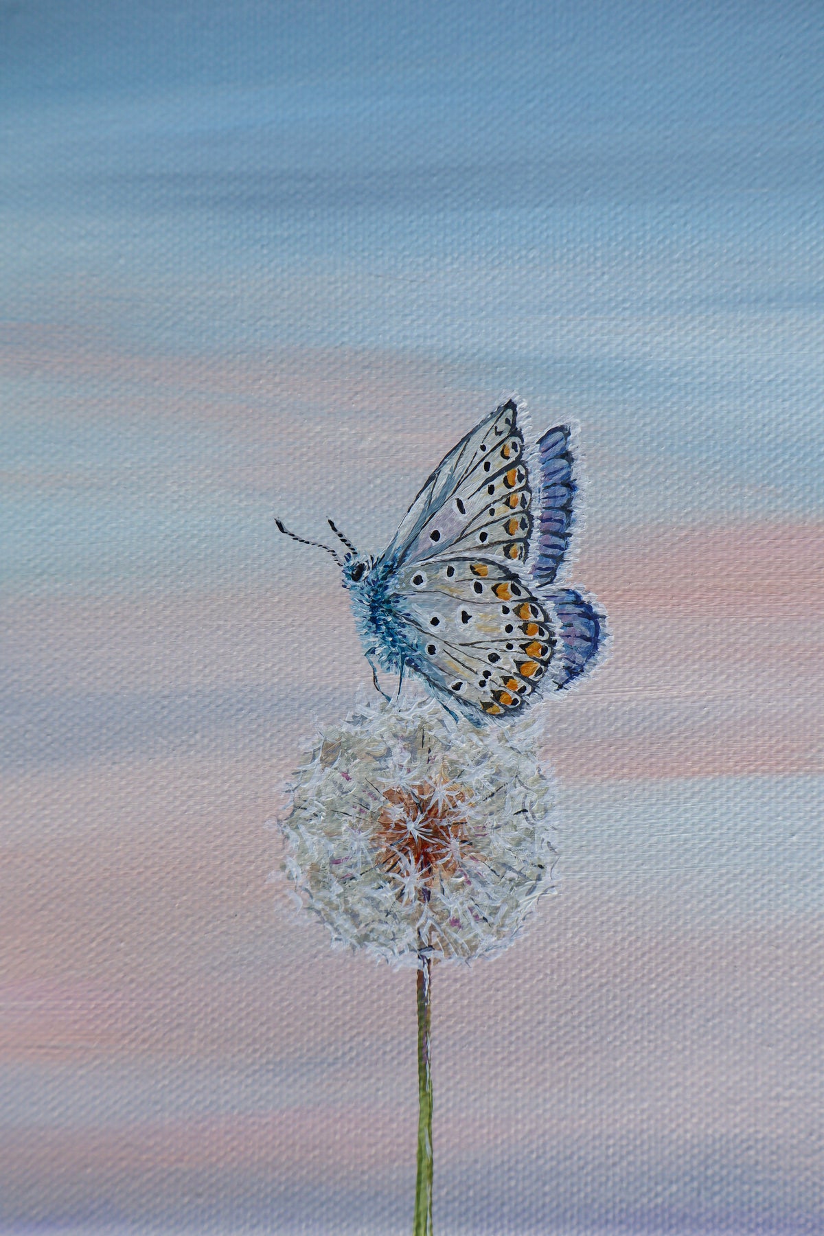 Blue Wish