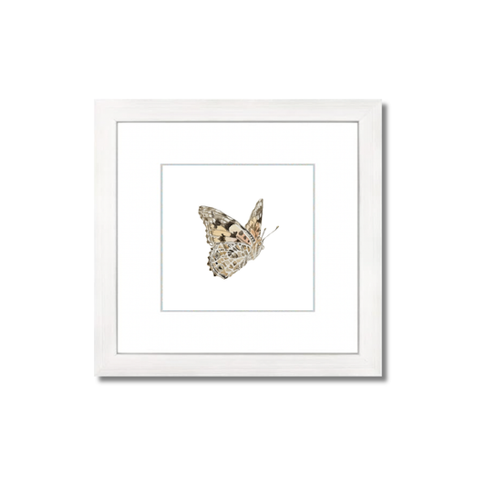 Painted Lady Butterfly Watercolor (Framed)