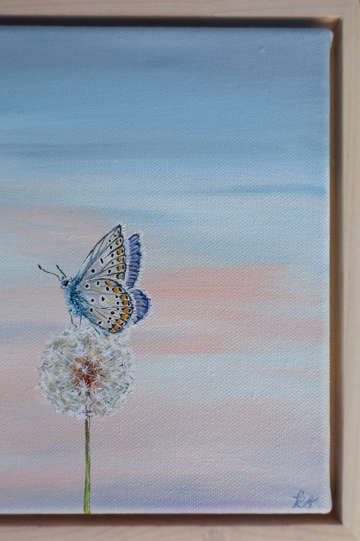 Blue Wish