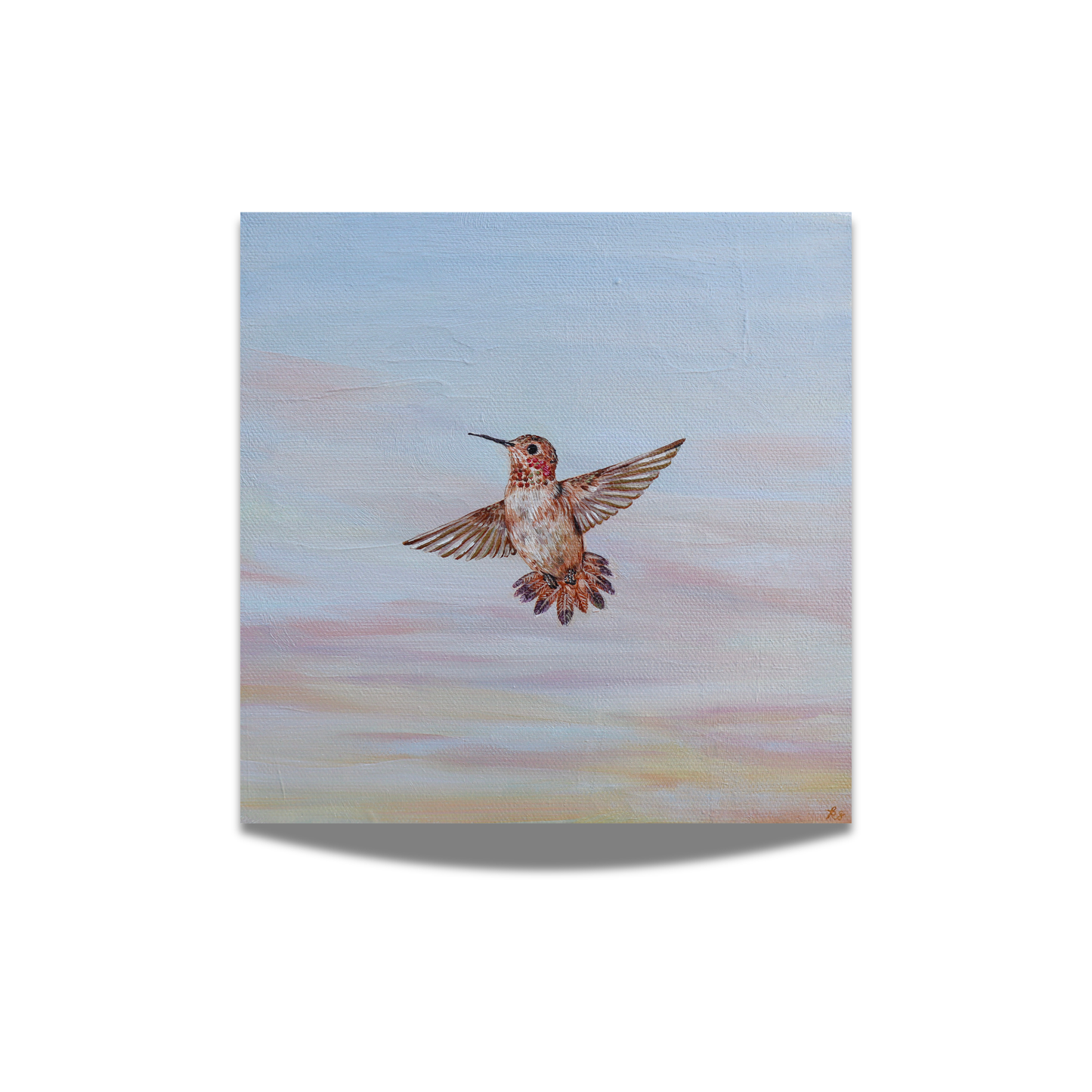 "Rufous Hummingbird at Sunrise" Fine Art Print