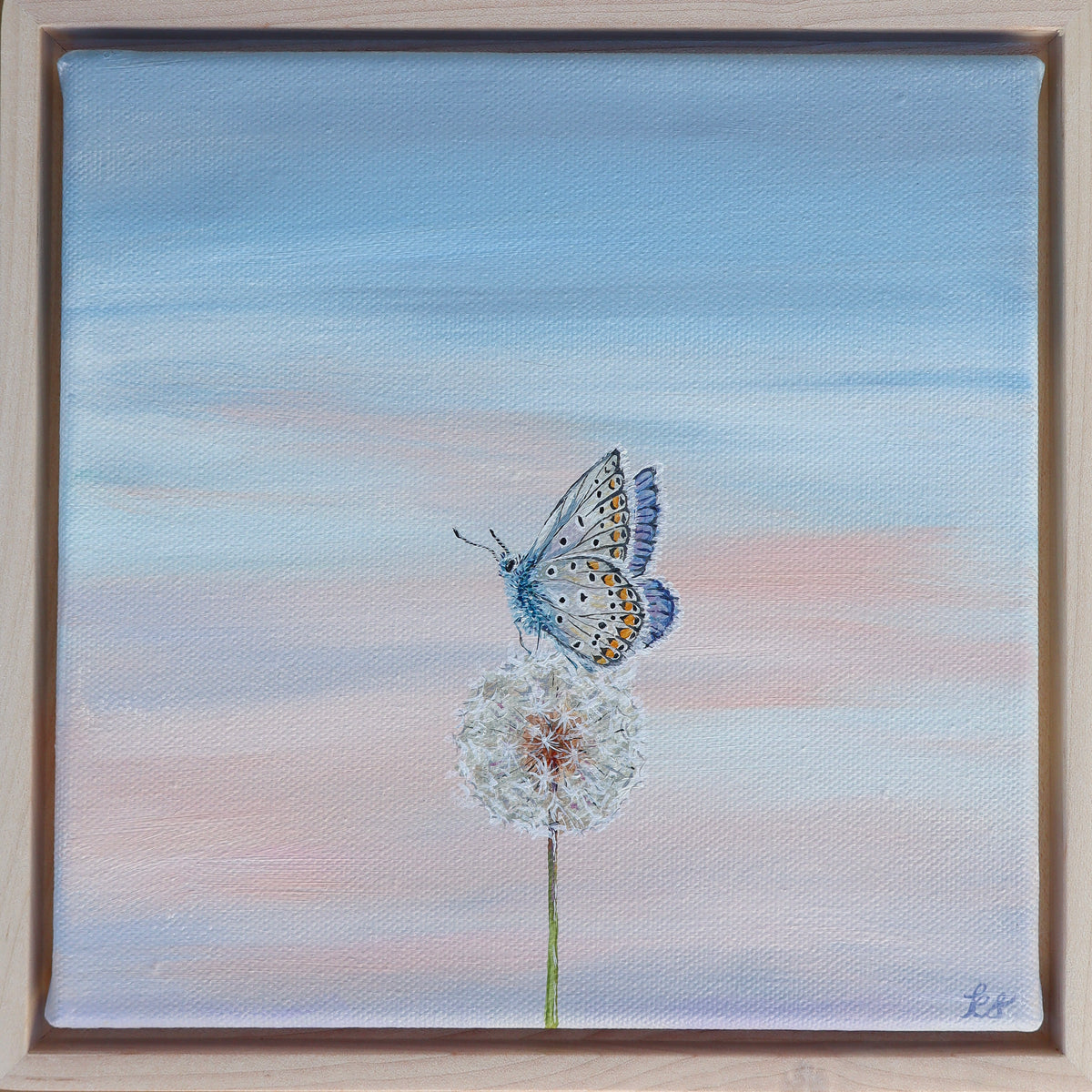 Blue Wish