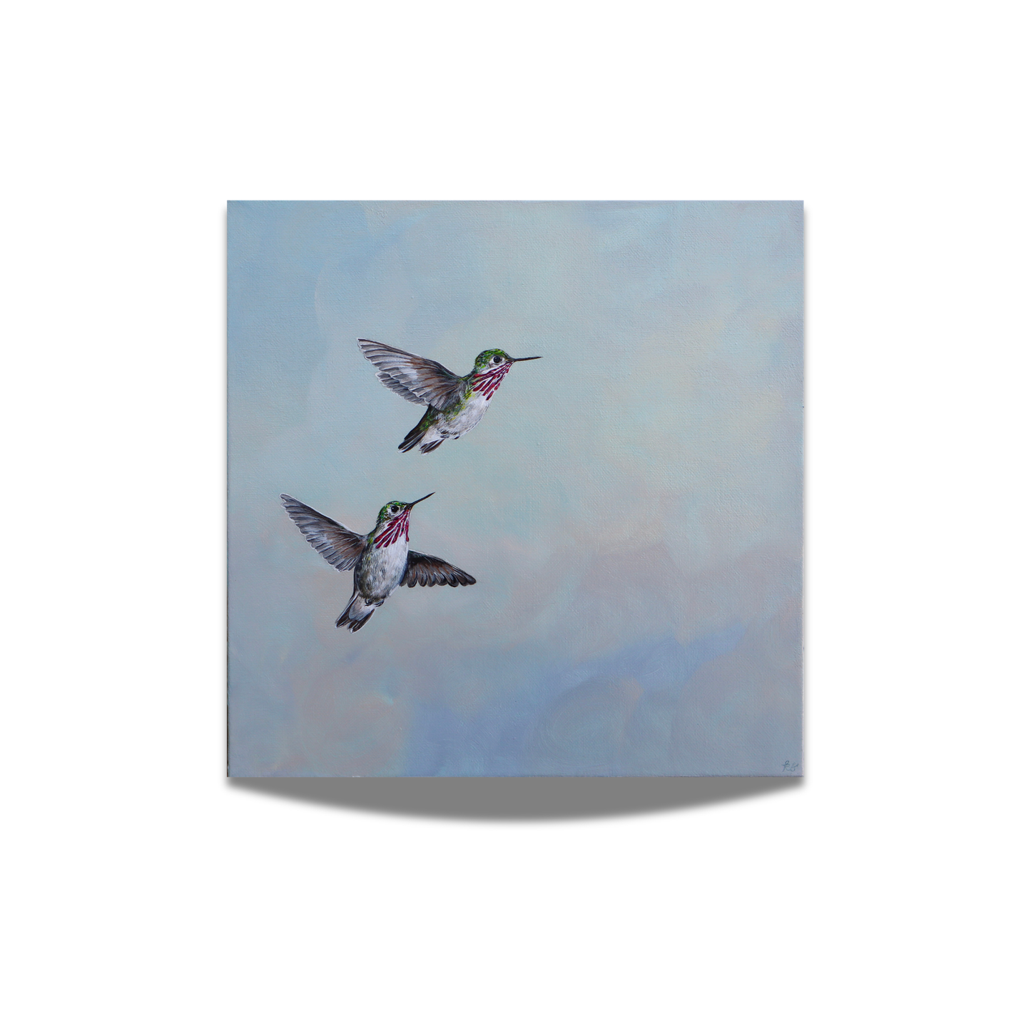"Calliope Hummingbirds" Fine Art Print