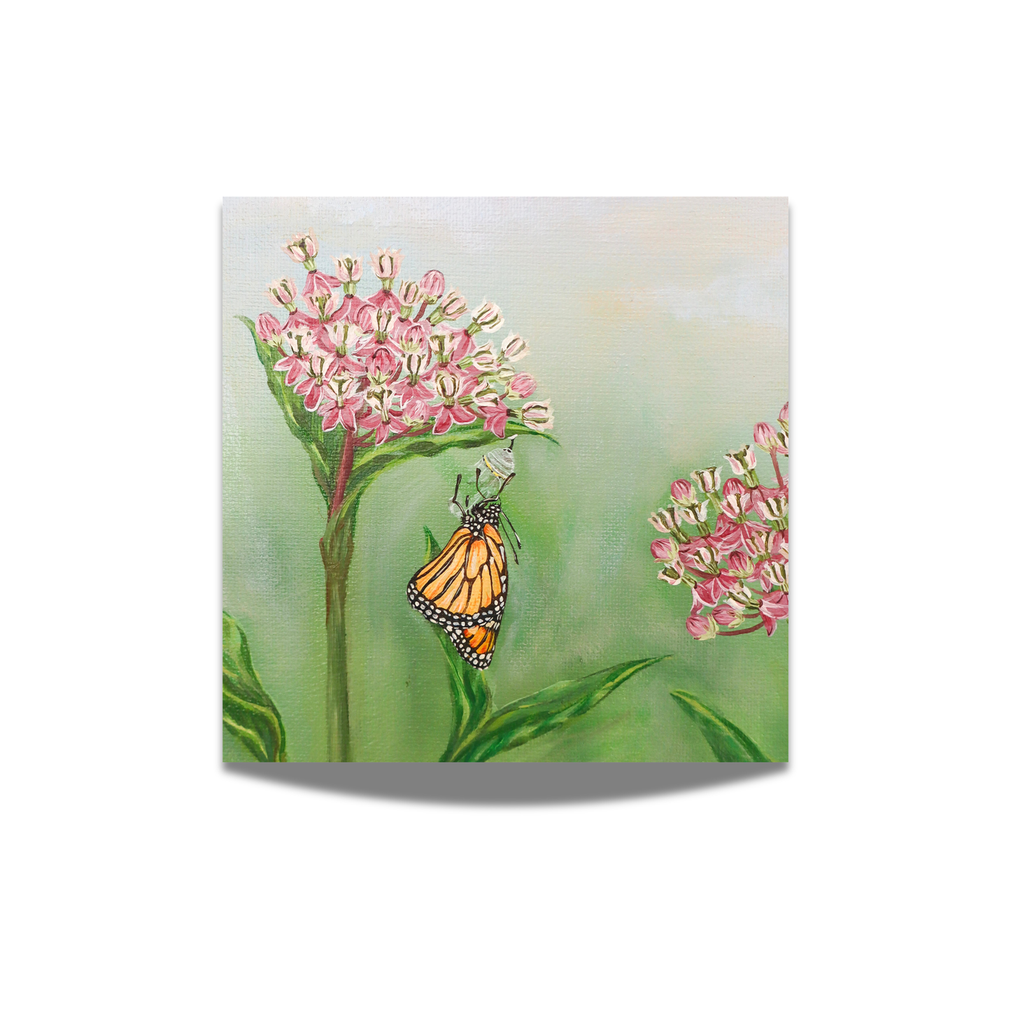"Monarchs on Milkweed" Fine Art Print