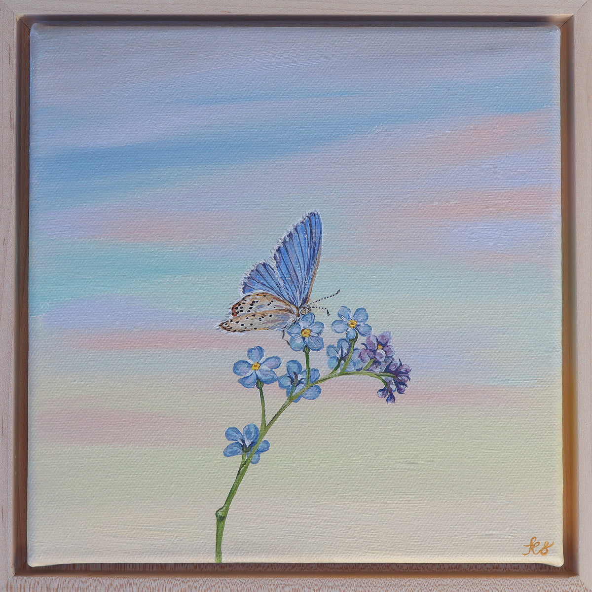 Forget Me Not