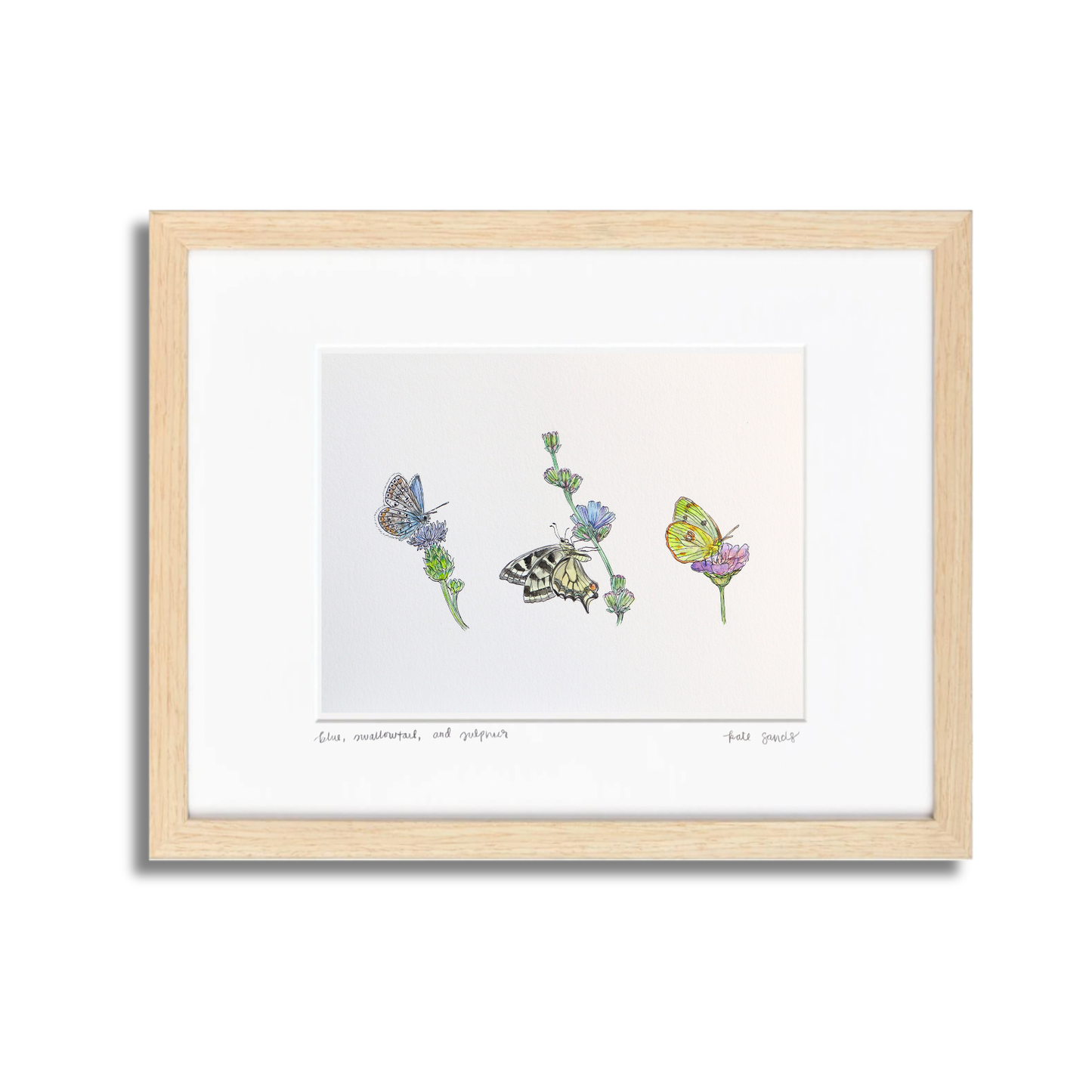 Blue, Swallowtail, and Sulphur Watercolor (Framed)