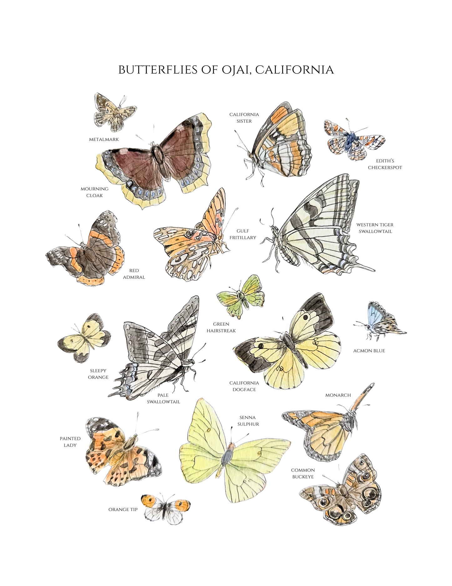 "Butterflies of Ojai" Watercolor Print (Labeled)