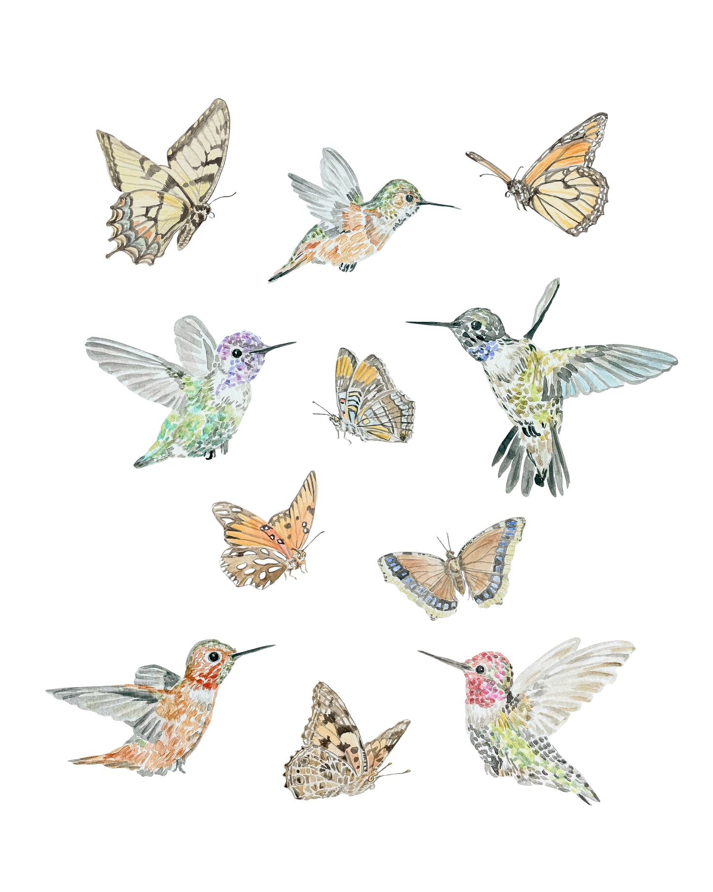 "Wings of Ojai" Watercolor Print