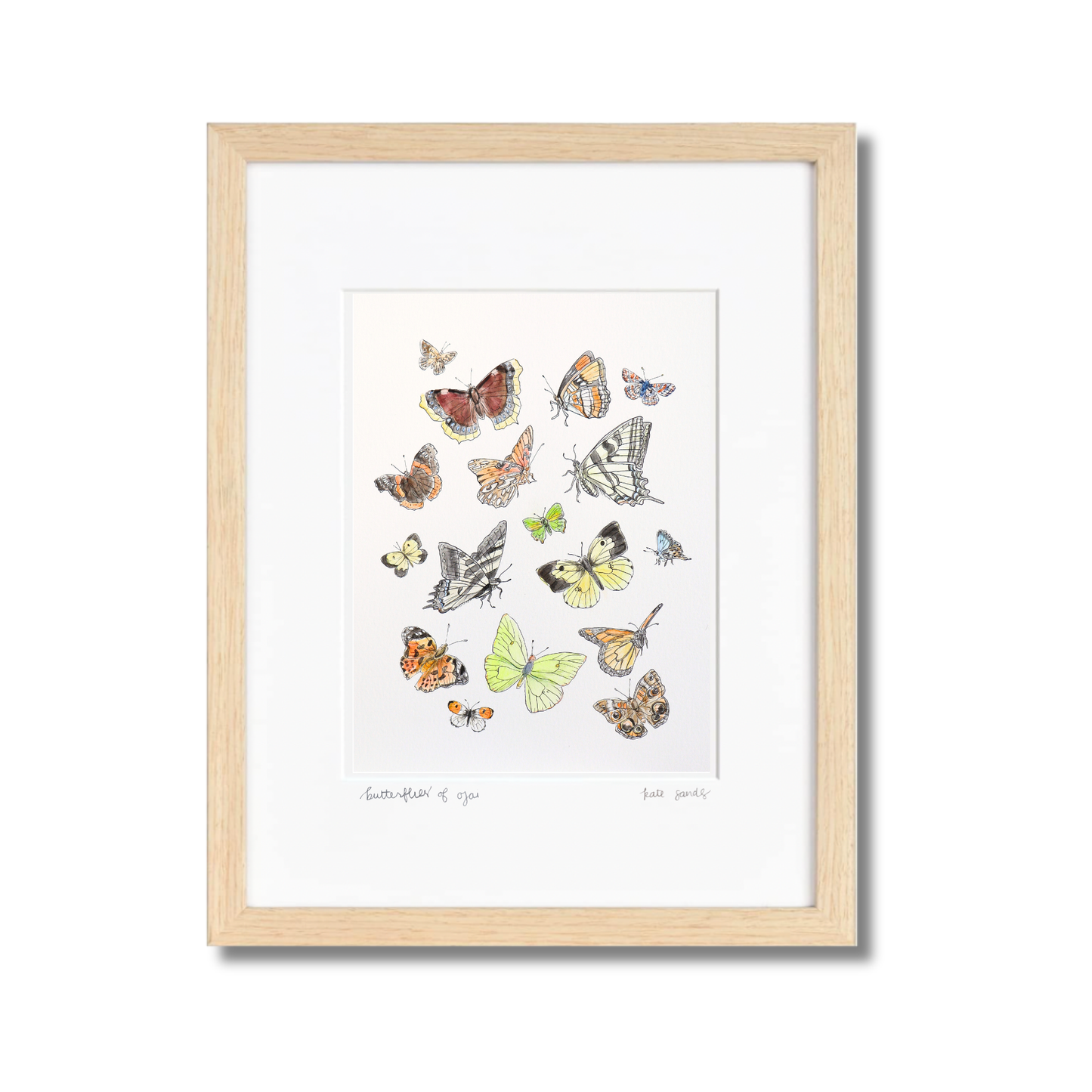 Butterflies of Ojai Watercolor (Framed)