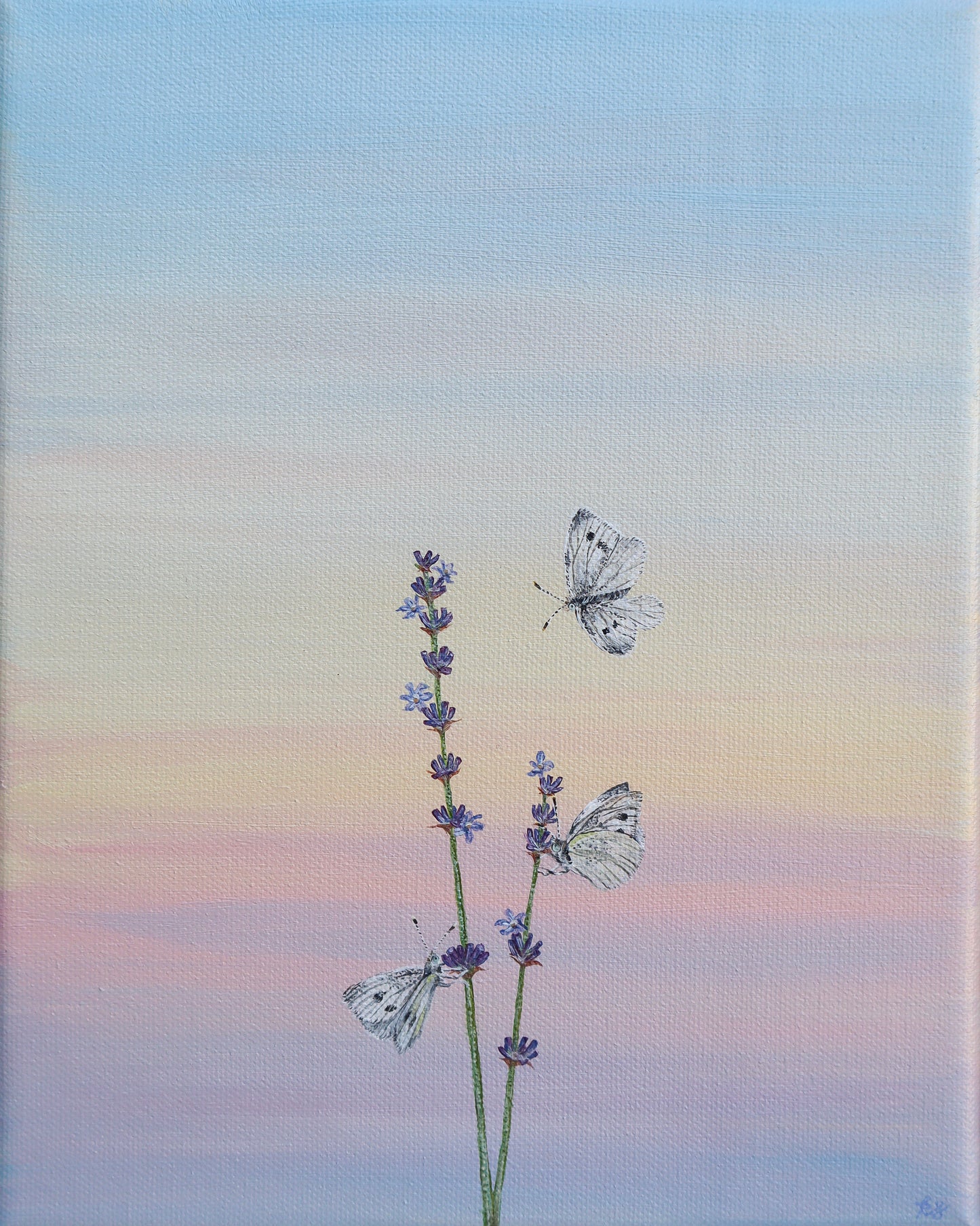 "Cabbage Whites on Lavender" Fine Art Print