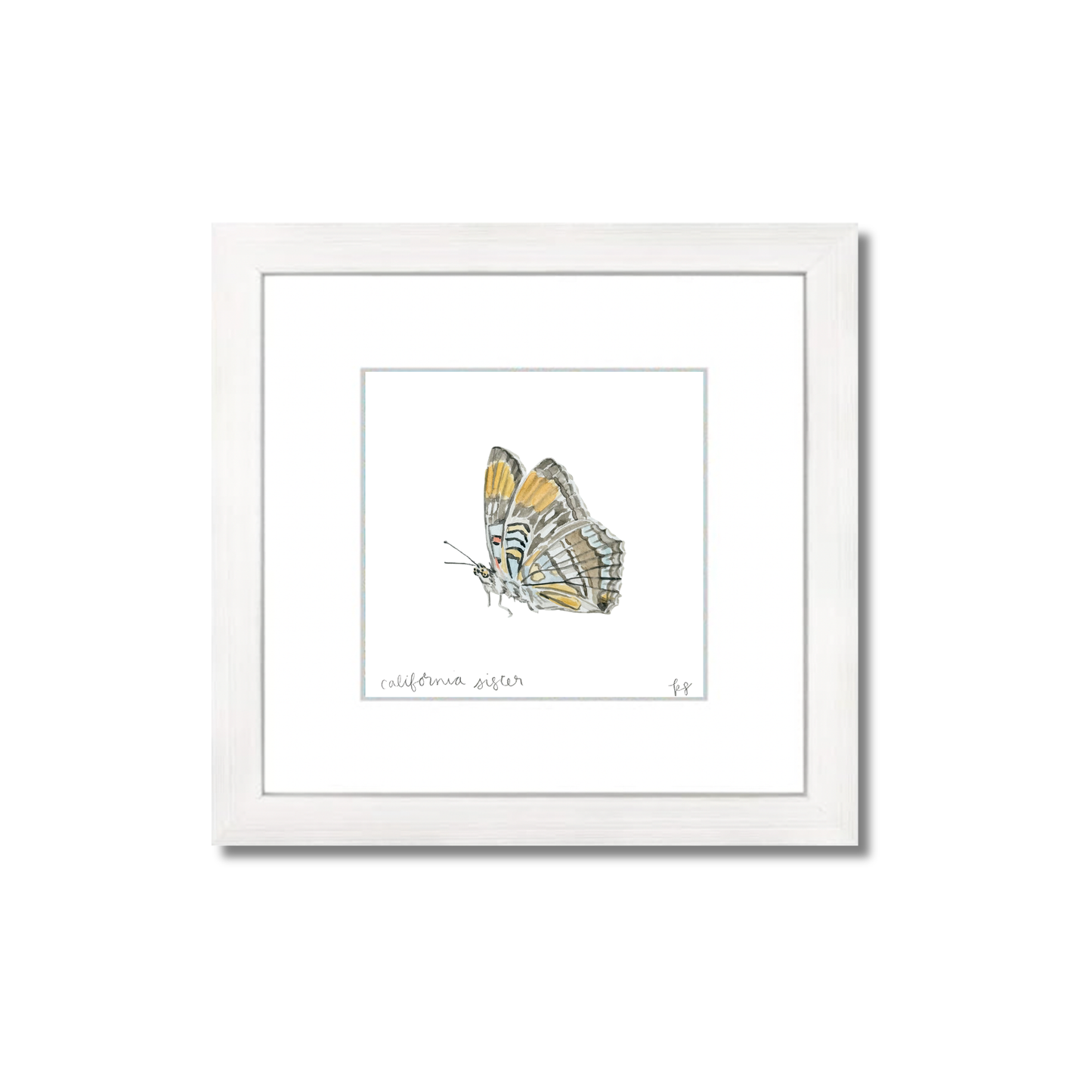 California Sister Butterfly Watercolor (Framed)