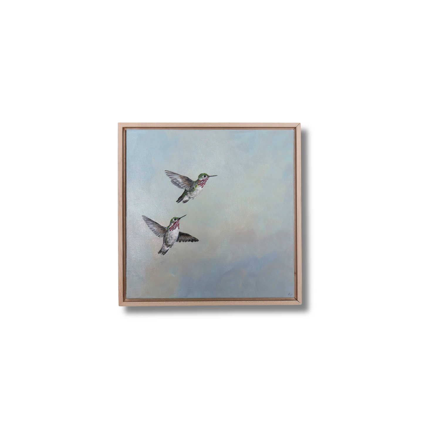 Calliope Hummingbirds