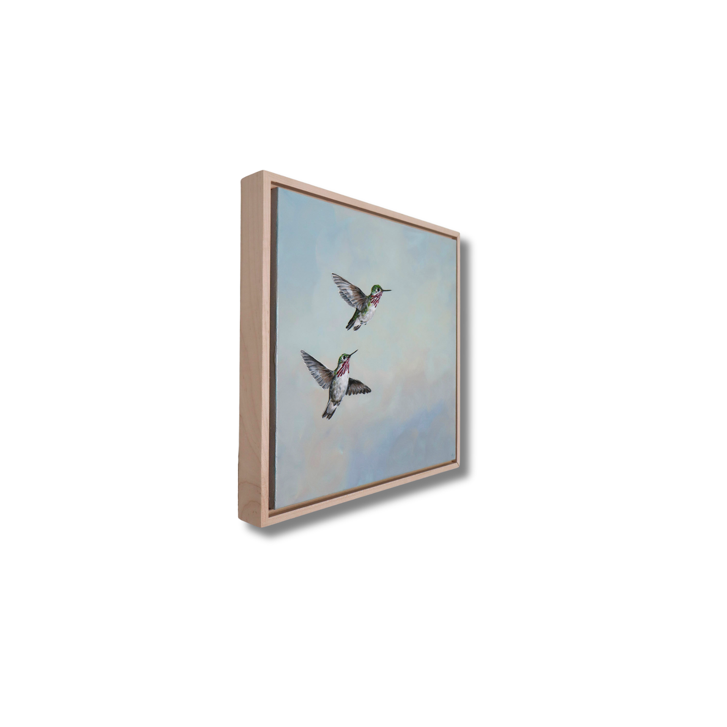 Calliope Hummingbirds