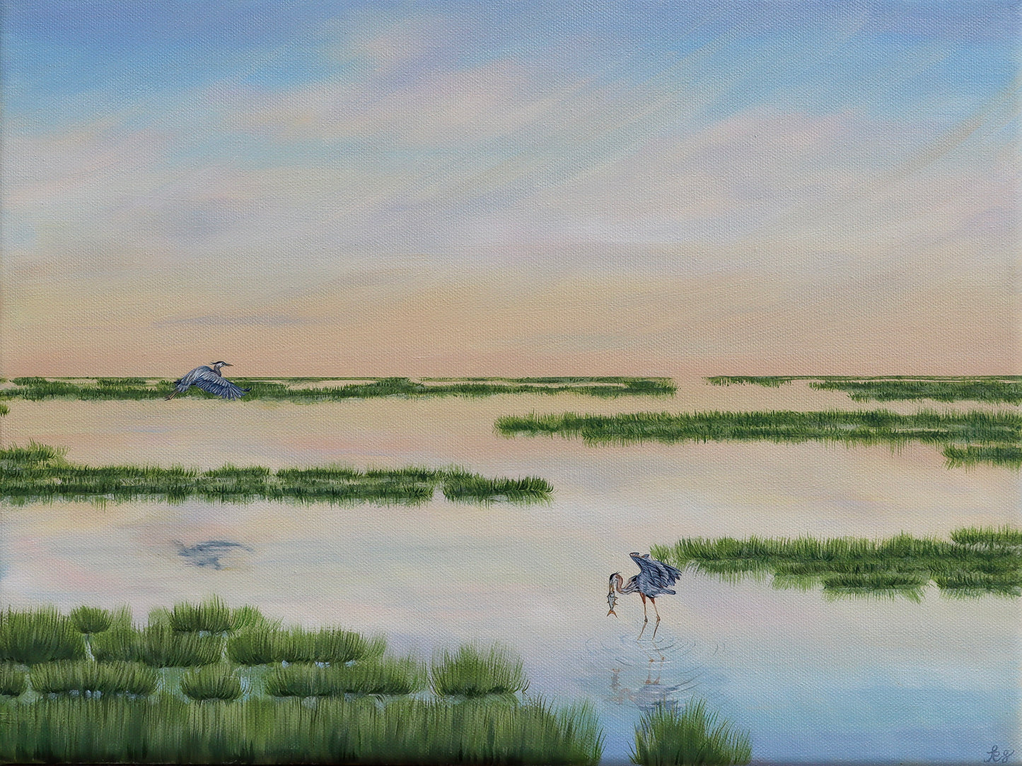 Blue Herons in Gold Waters