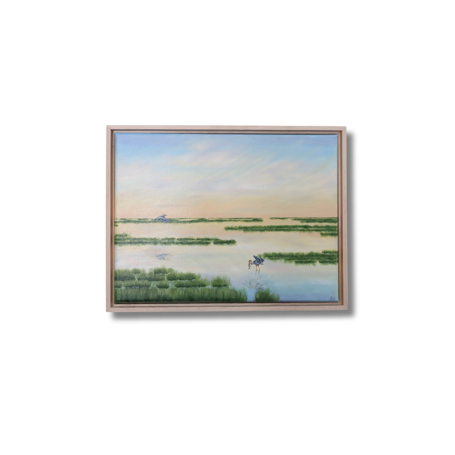 Blue Herons in Gold Waters