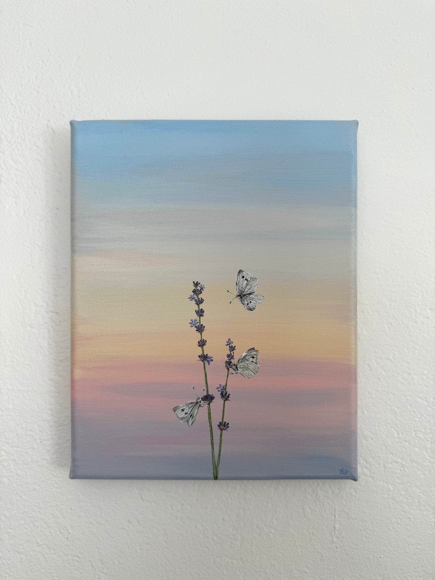 Cabbage Whites on Lavender