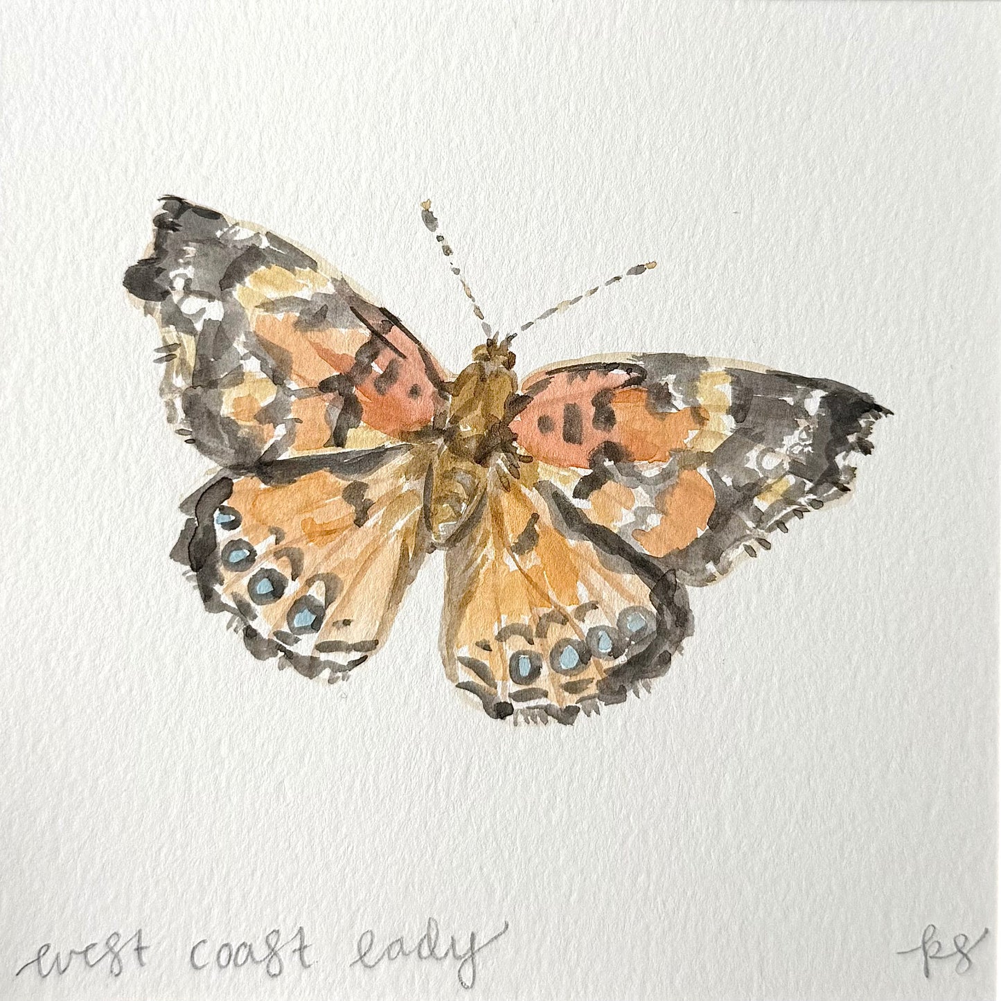 West Coast Lady Watercolor (Framed)