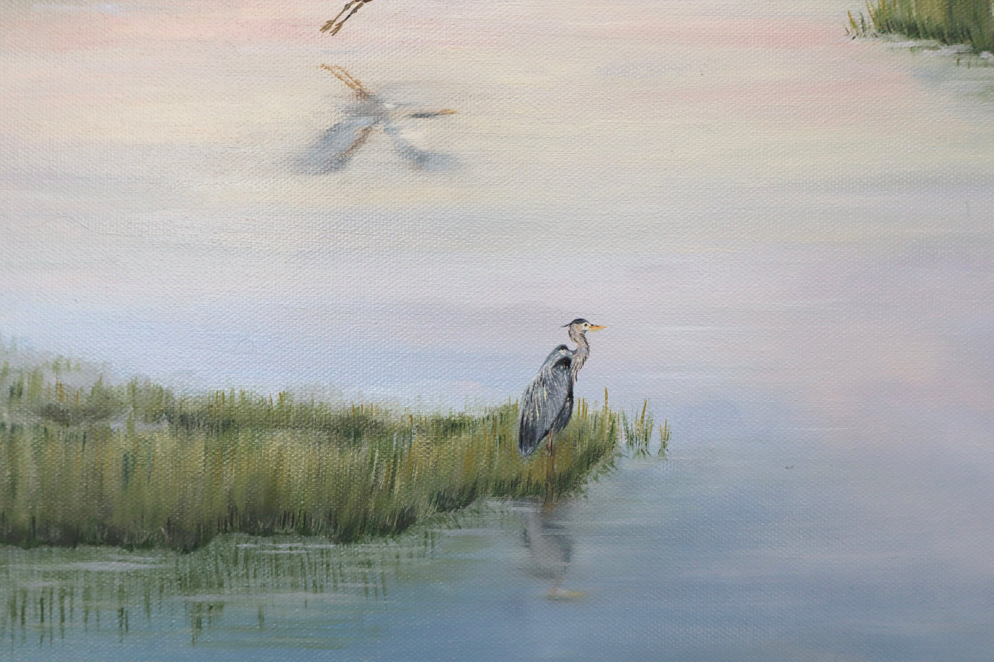 Blue Herons in the Marsh