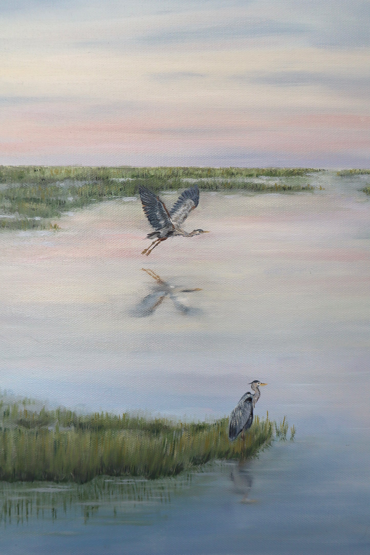 Blue Herons in the Marsh