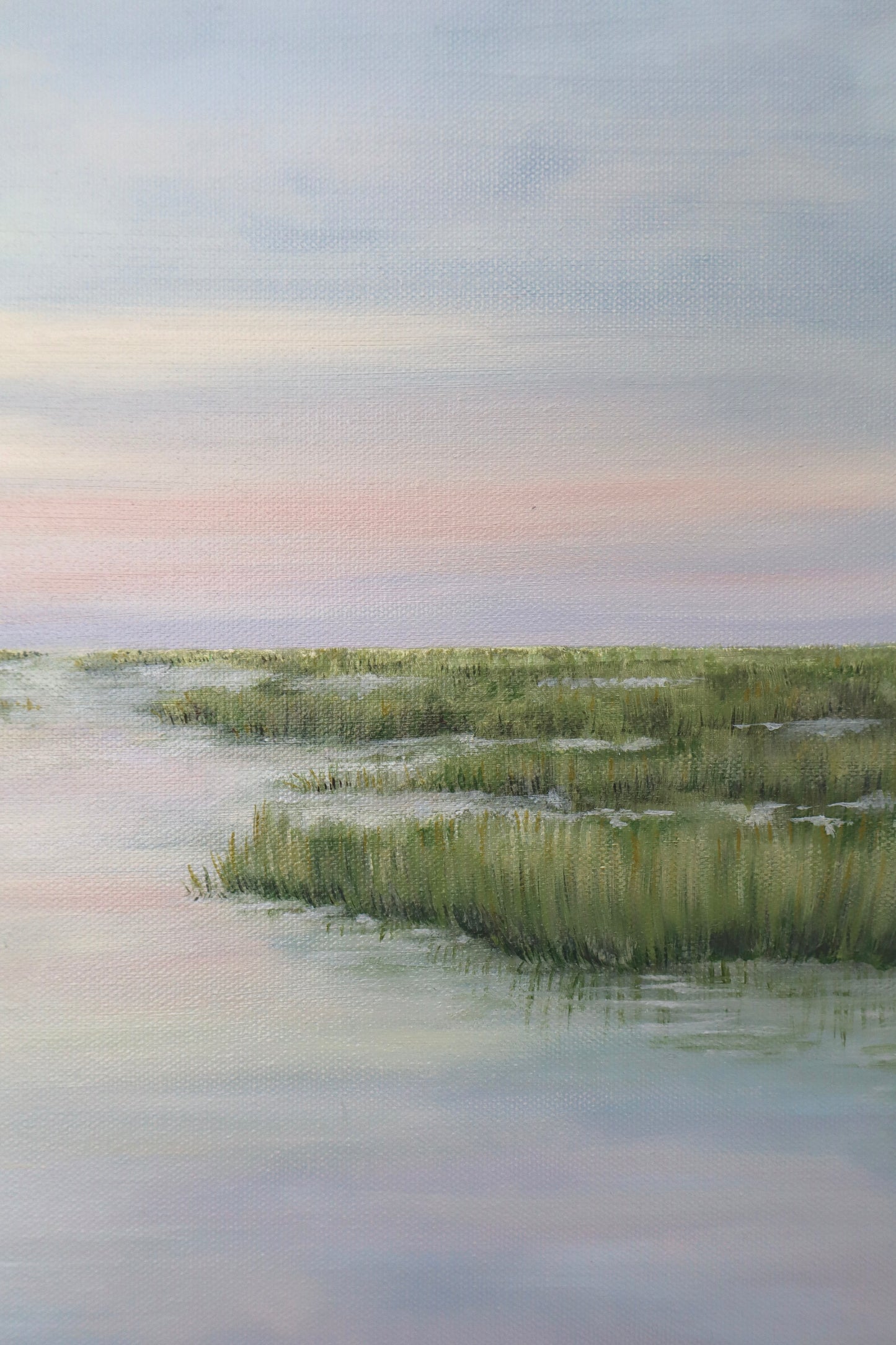 Blue Herons in the Marsh